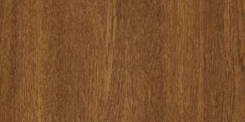 rovere-doratocc2758b0-f7d1-8101-4027-f2e7b5009ec3F85C9986-5BEA-F0C4-F8C4-917DE2421873.jpg