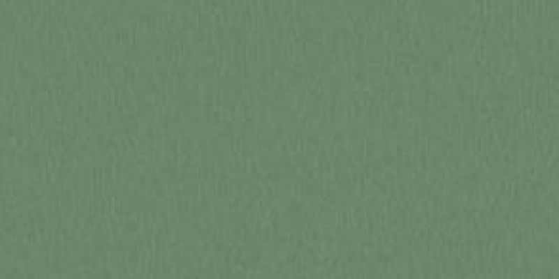 verde-ral-6021302ddf6a-18bb-701e-c28d-51f9090f0cfa4314E9EA-AB77-8FA6-3296-9267FC17344A.jpg